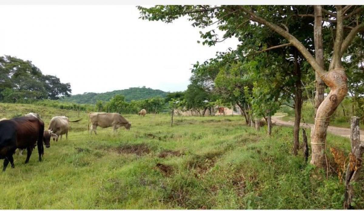 Picture of Residential Land For Sale in Ocozocoautla De Espinosa, Chiapas, Mexico