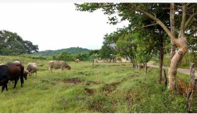 Residential Land For Sale in Ocozocoautla De Espinosa, Mexico