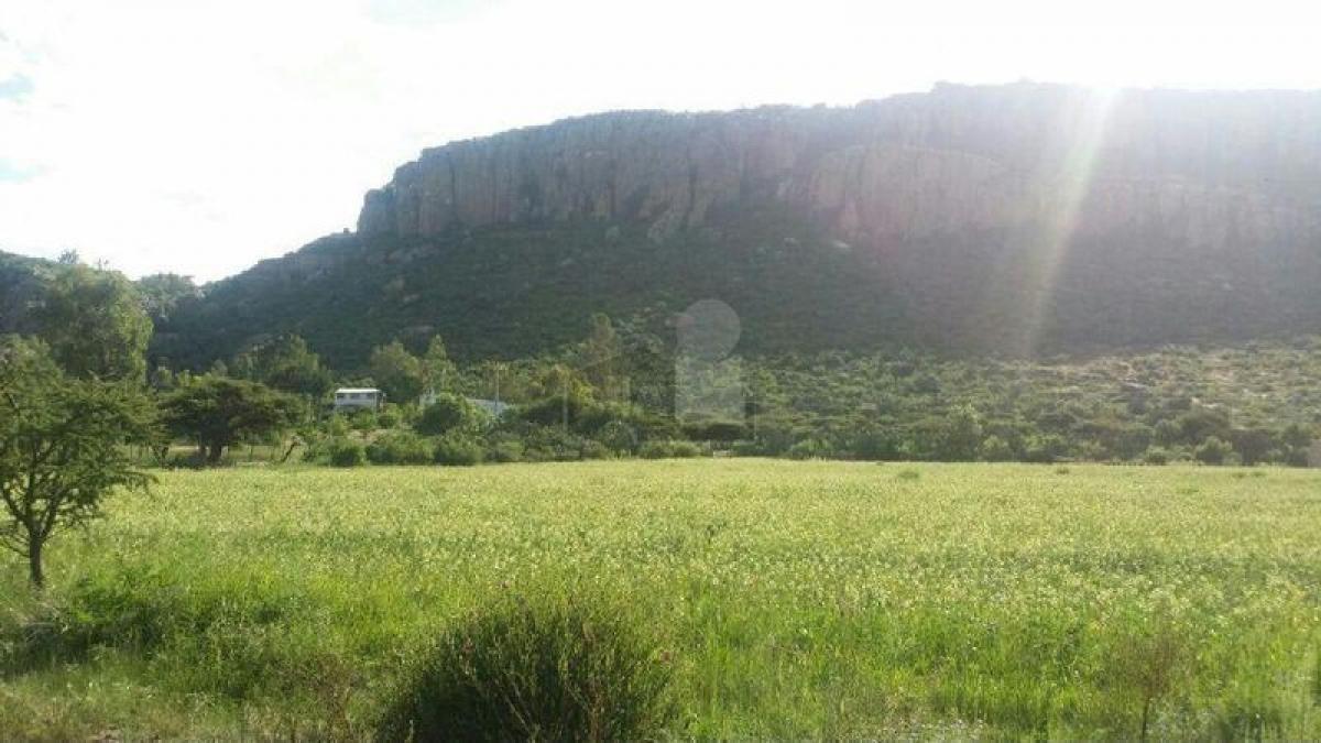 Picture of Residential Land For Sale in Zacatecas, Zacatecas, Mexico