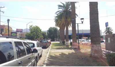 Apartment Building For Sale in Playa Vicente, Mexico