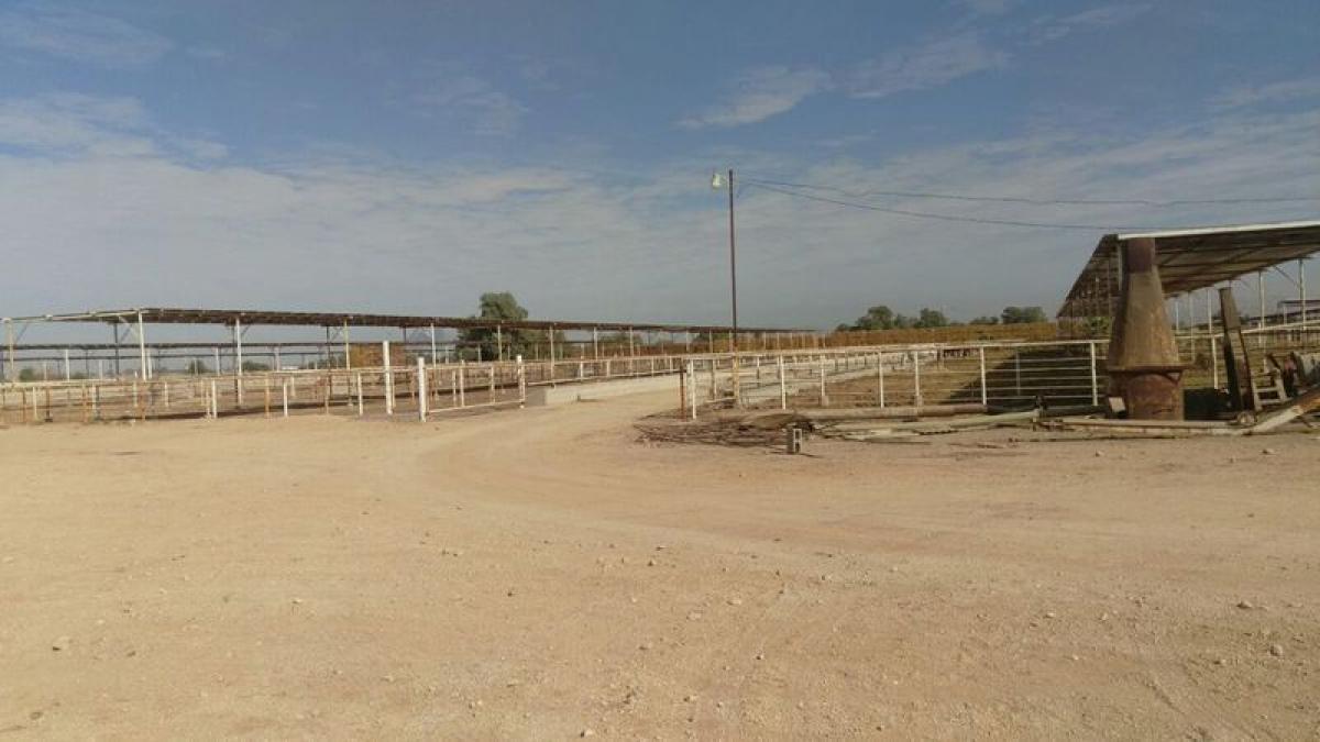 Picture of Home For Sale in Mexicali, Baja California, Mexico