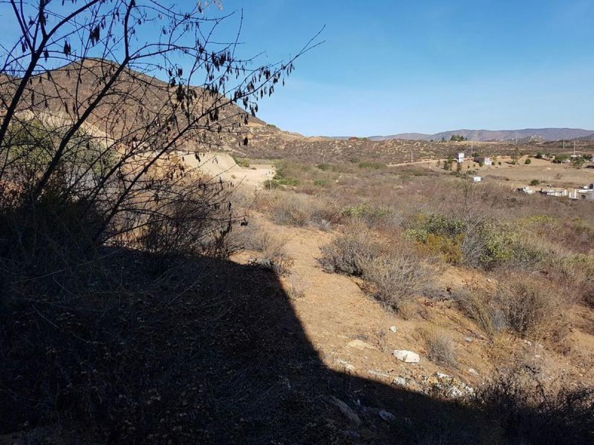 Picture of Residential Land For Sale in Ensenada, Baja California, Mexico