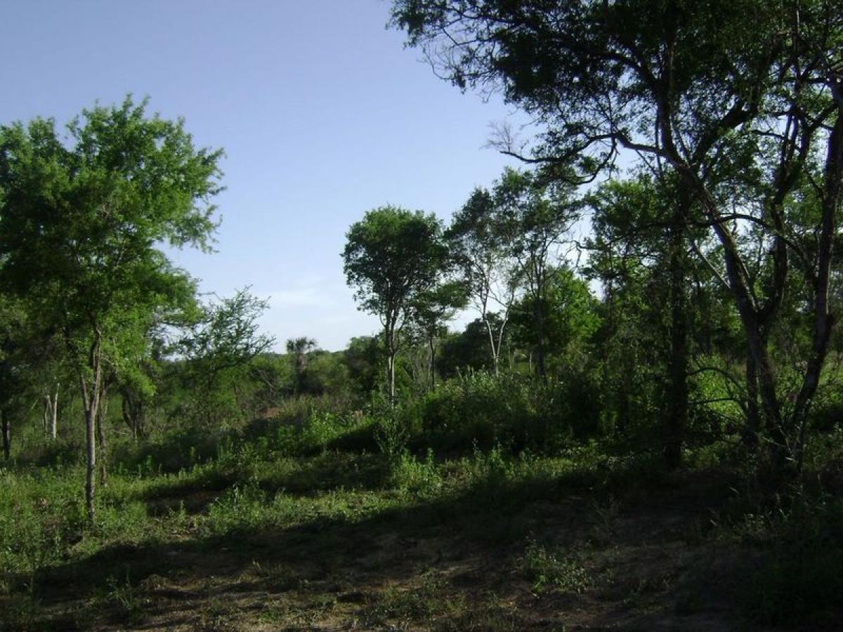 Picture of Development Site For Sale in Cadereyta Jimenez, Nuevo Leon, Mexico