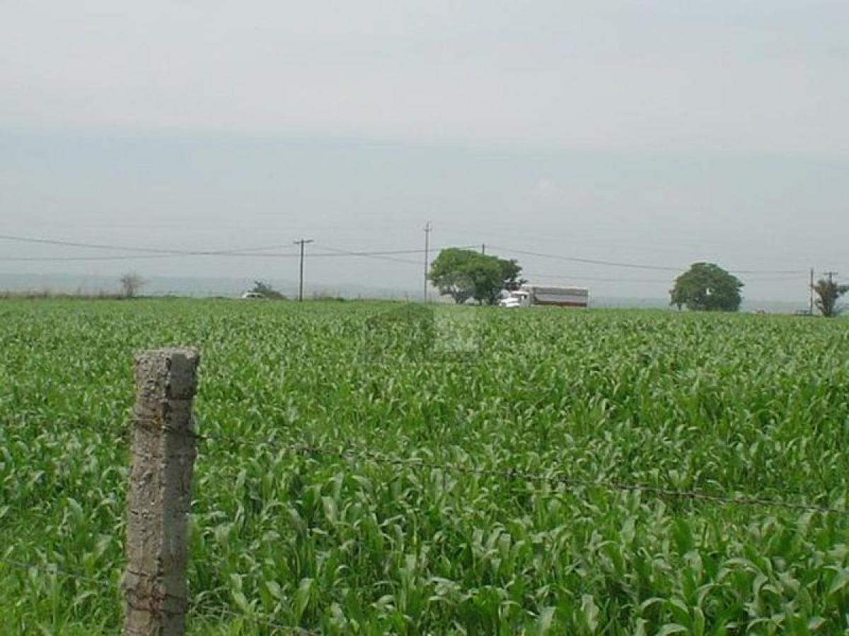 Picture of Residential Land For Sale in Morelos, Morelos, Mexico