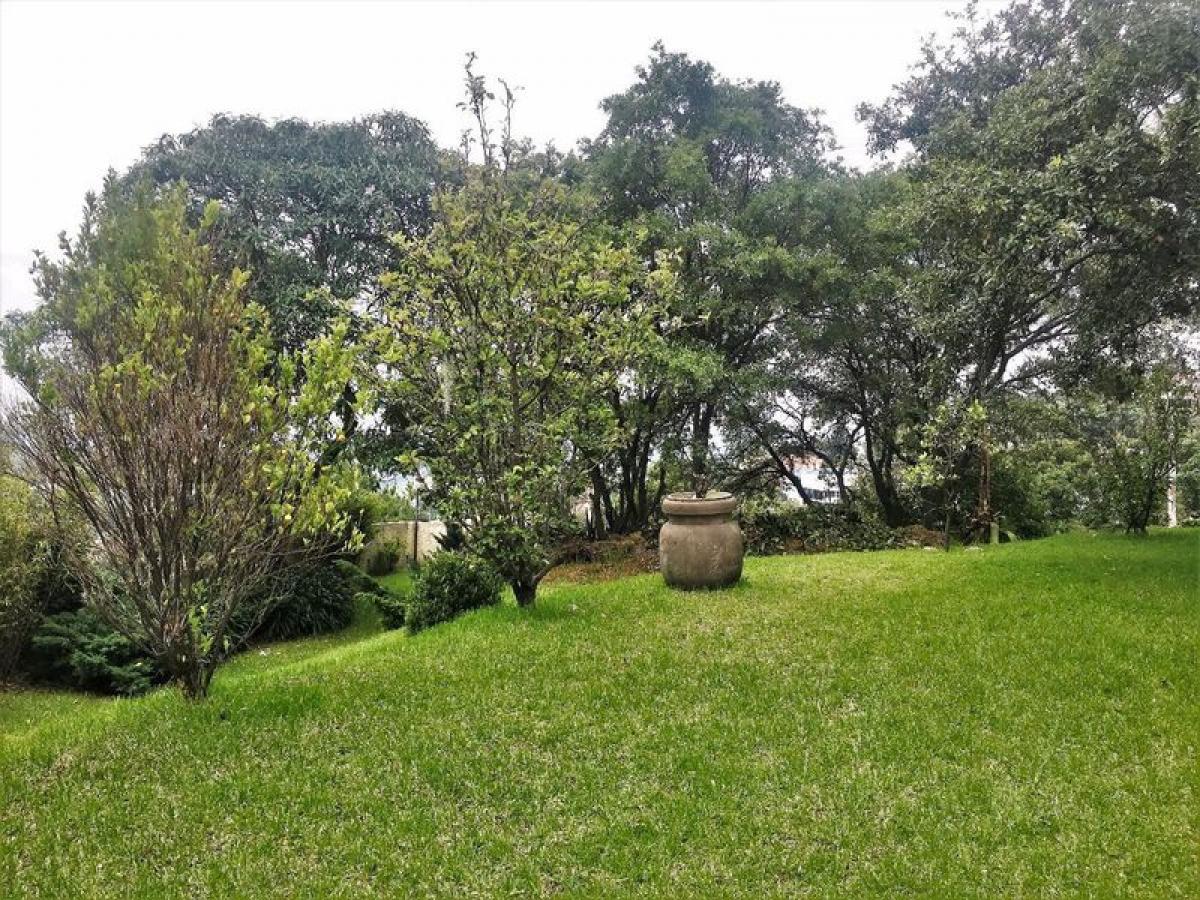 Picture of Residential Land For Sale in Estado De Mexico, Mexico, Mexico