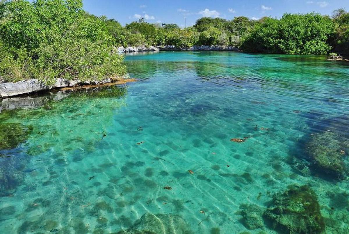 Tulum, Quintana Roo, Quintana Roo, Mexico Residential Land For Sale at GLOBAL LISTINGS