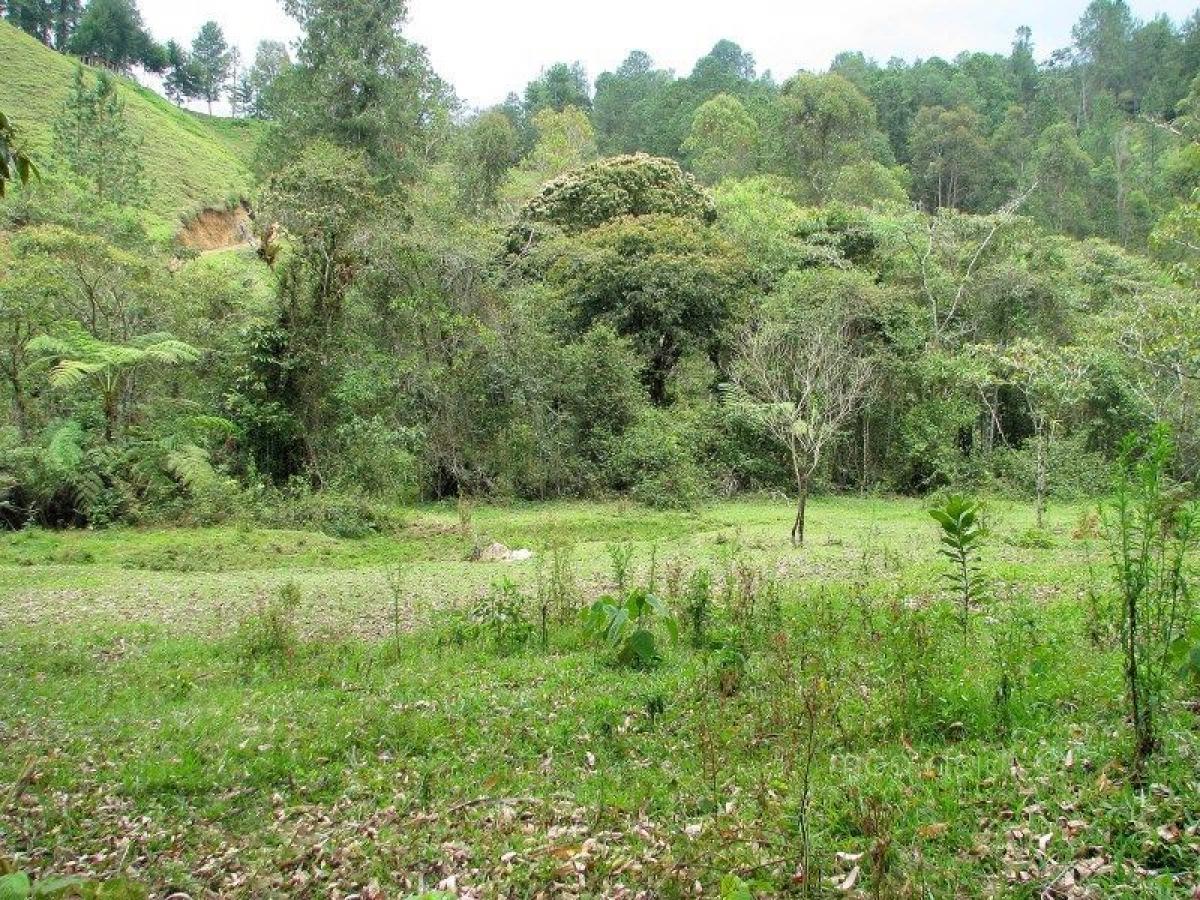 Picture of Residential Land For Sale in Antioquia, Antioquia, Colombia