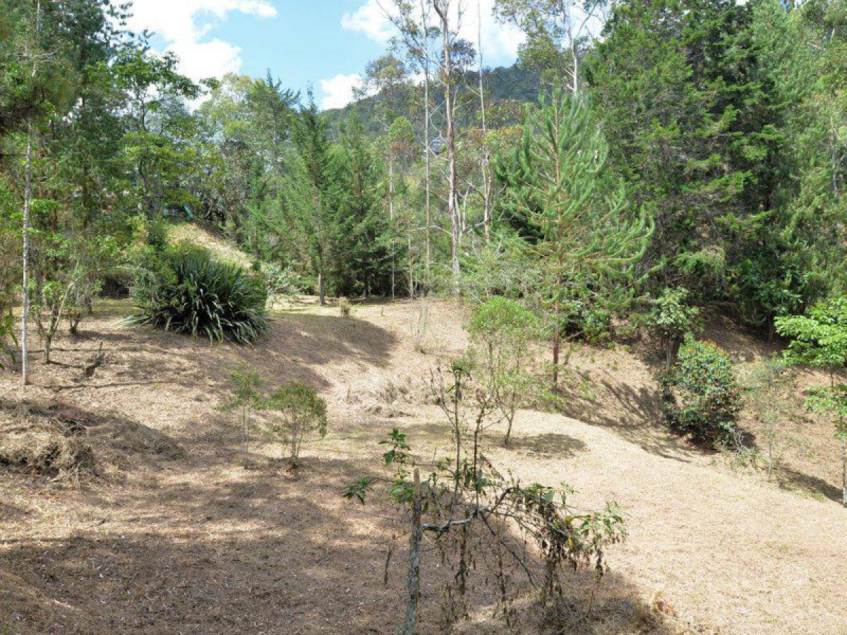 Picture of Residential Land For Sale in Antioquia, Antioquia, Colombia
