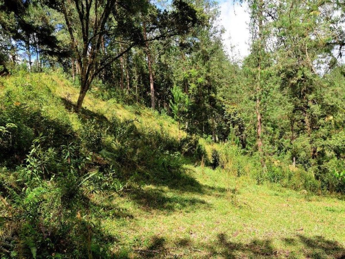 Picture of Residential Land For Sale in Antioquia, Antioquia, Colombia