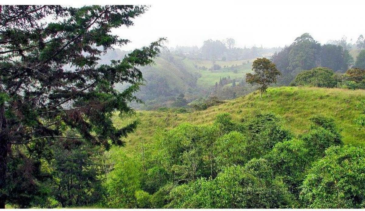 Picture of Residential Land For Sale in Antioquia, Antioquia, Colombia