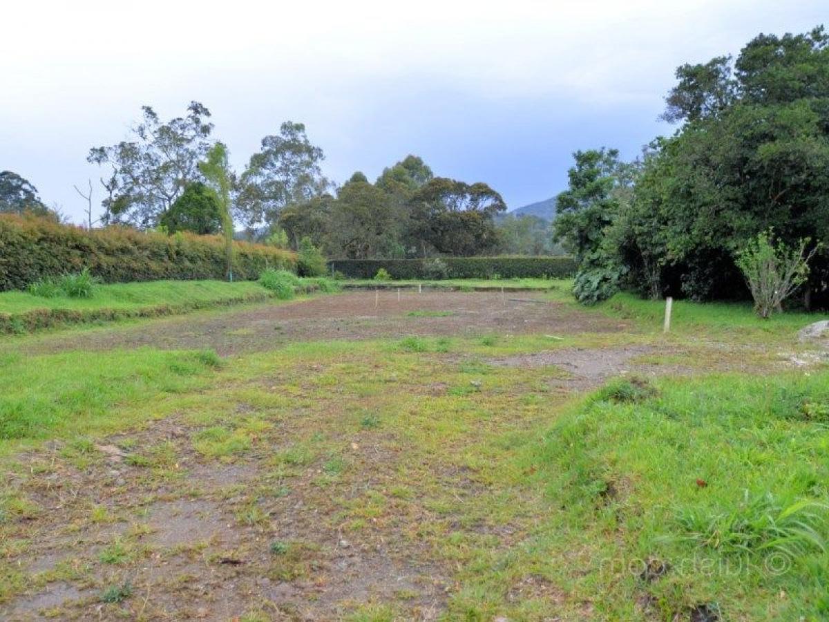 Picture of Residential Land For Sale in Antioquia, Antioquia, Colombia