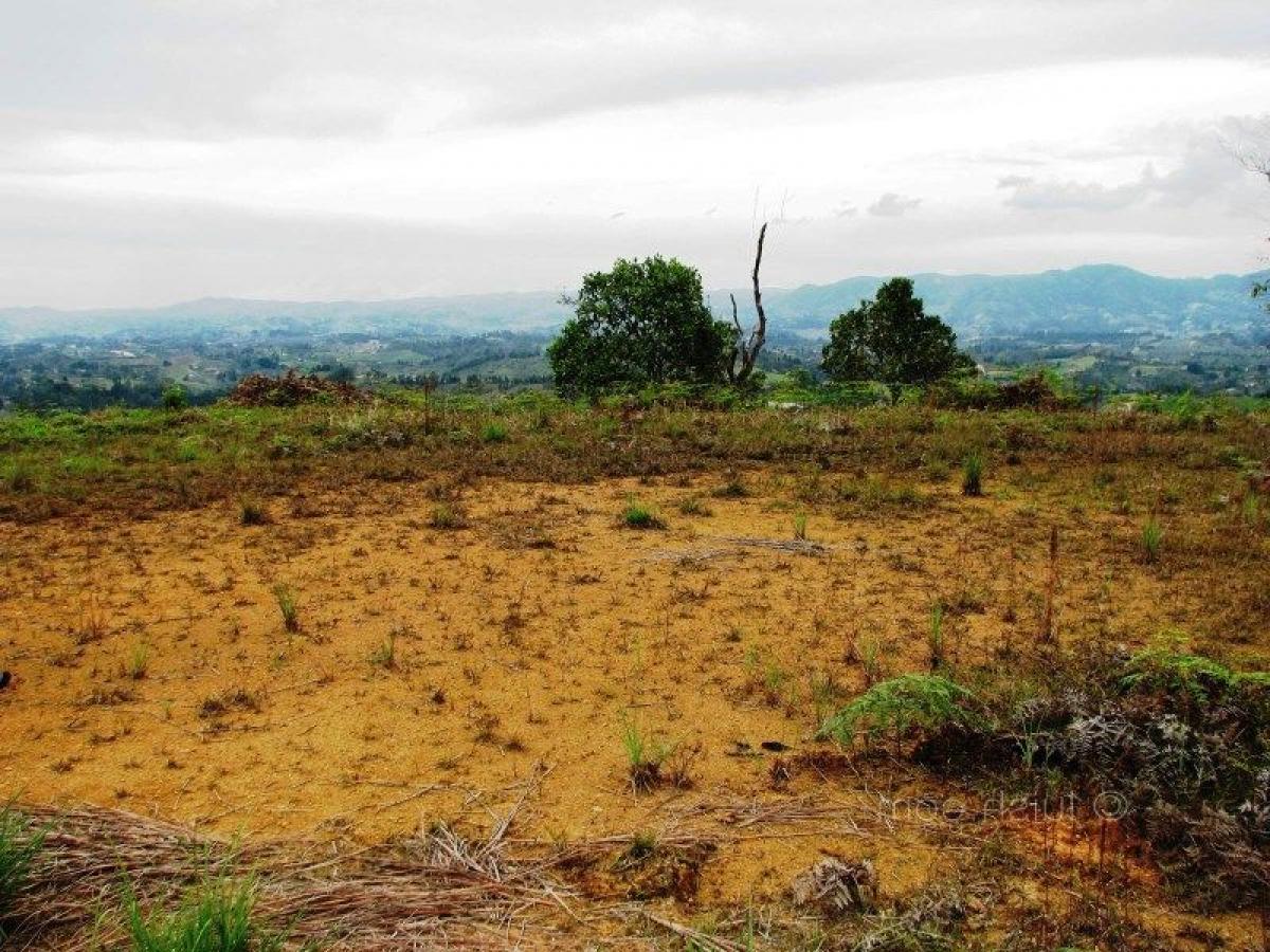 Picture of Residential Land For Sale in Antioquia, Antioquia, Colombia