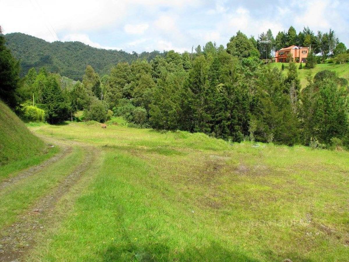 Picture of Residential Land For Sale in Antioquia, Antioquia, Colombia