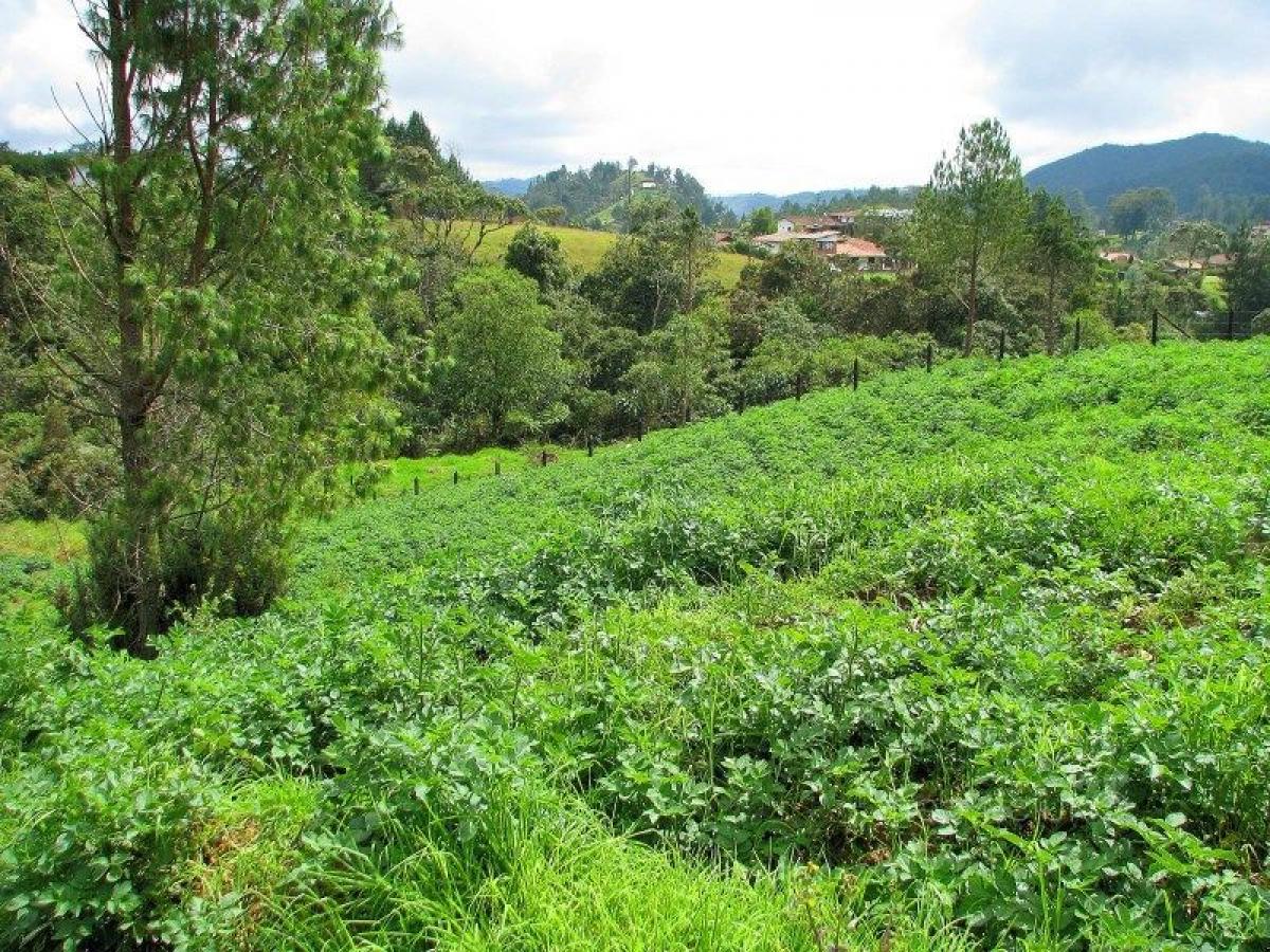 Picture of Residential Land For Sale in Antioquia, Antioquia, Colombia