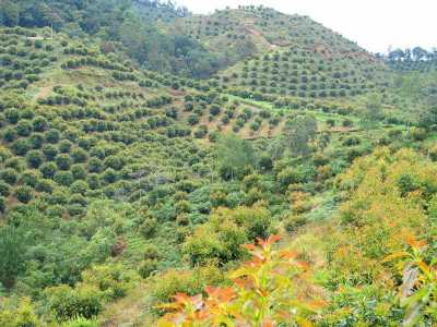 Residential Land For Sale in Antioquia, Colombia