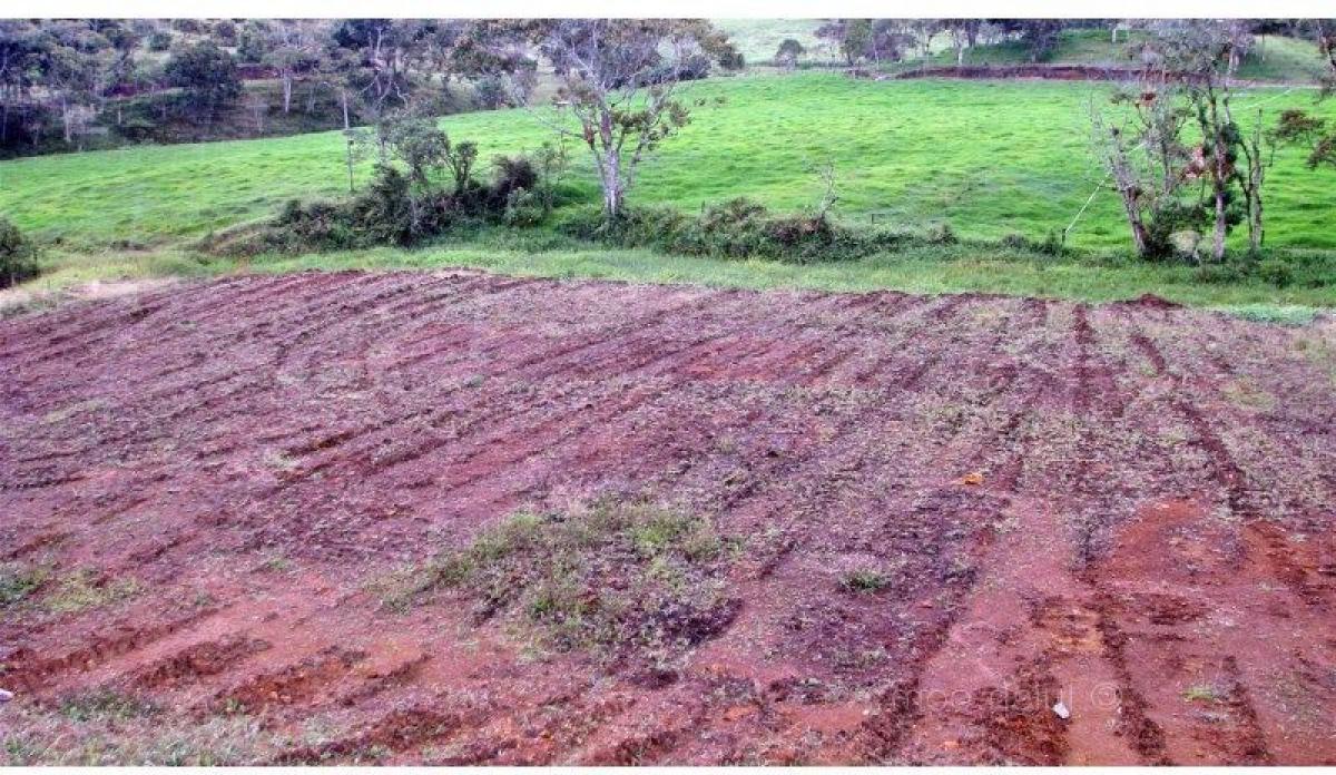 Picture of Residential Land For Sale in Antioquia, Antioquia, Colombia