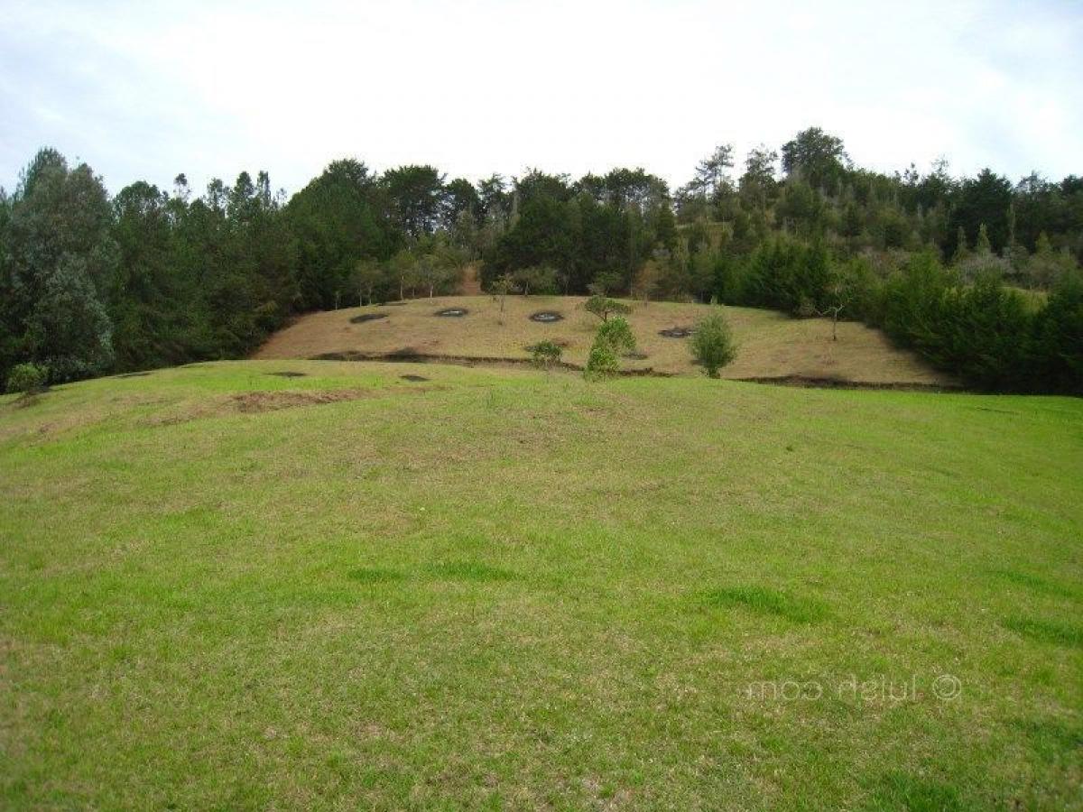 Picture of Residential Land For Sale in Antioquia, Antioquia, Colombia
