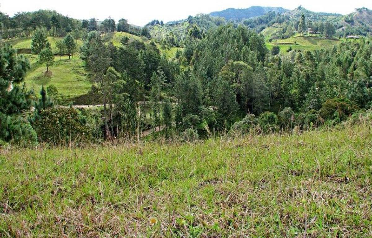 Picture of Residential Land For Sale in Antioquia, Antioquia, Colombia