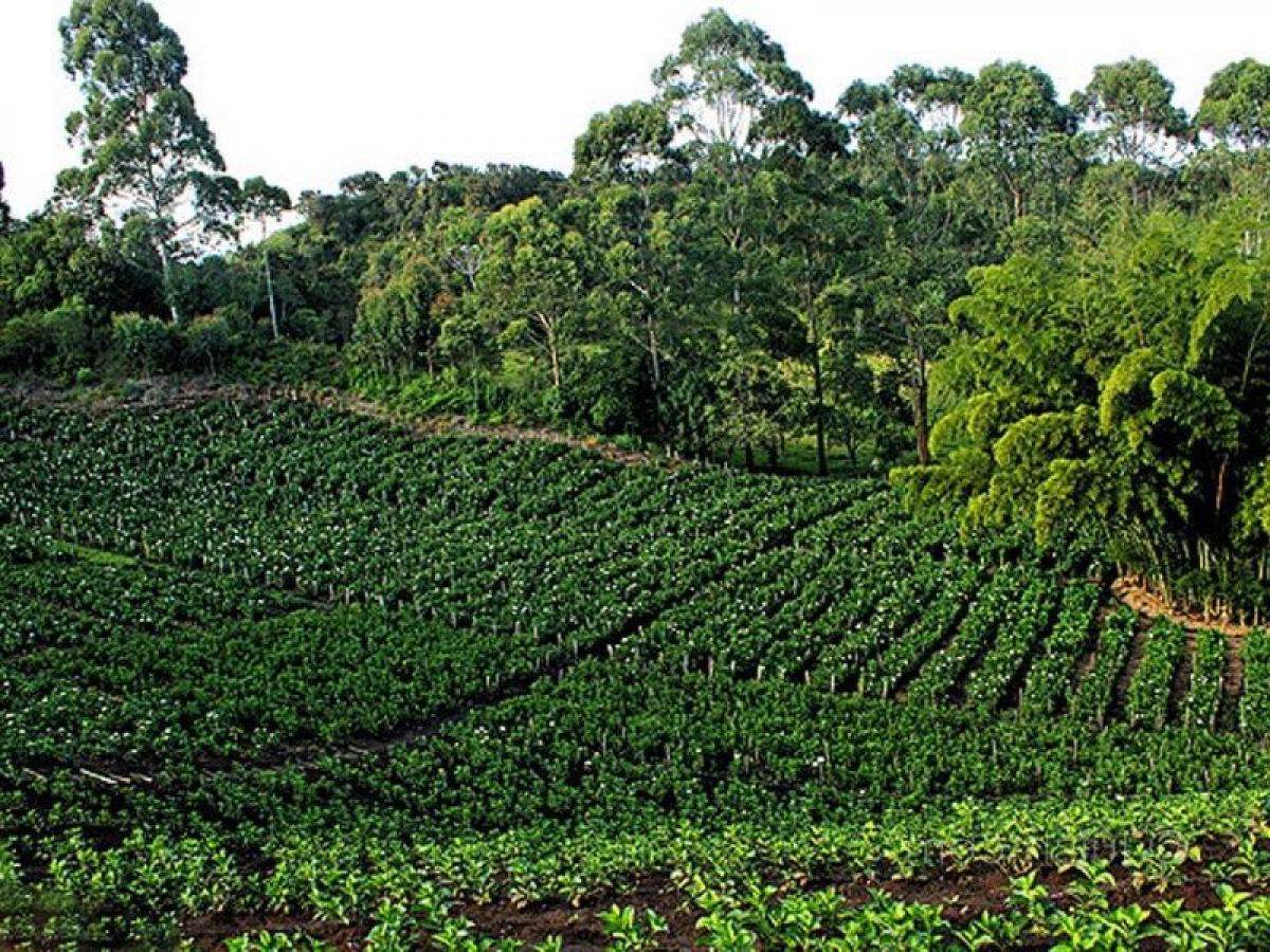 Picture of Residential Land For Sale in Antioquia, Antioquia, Colombia