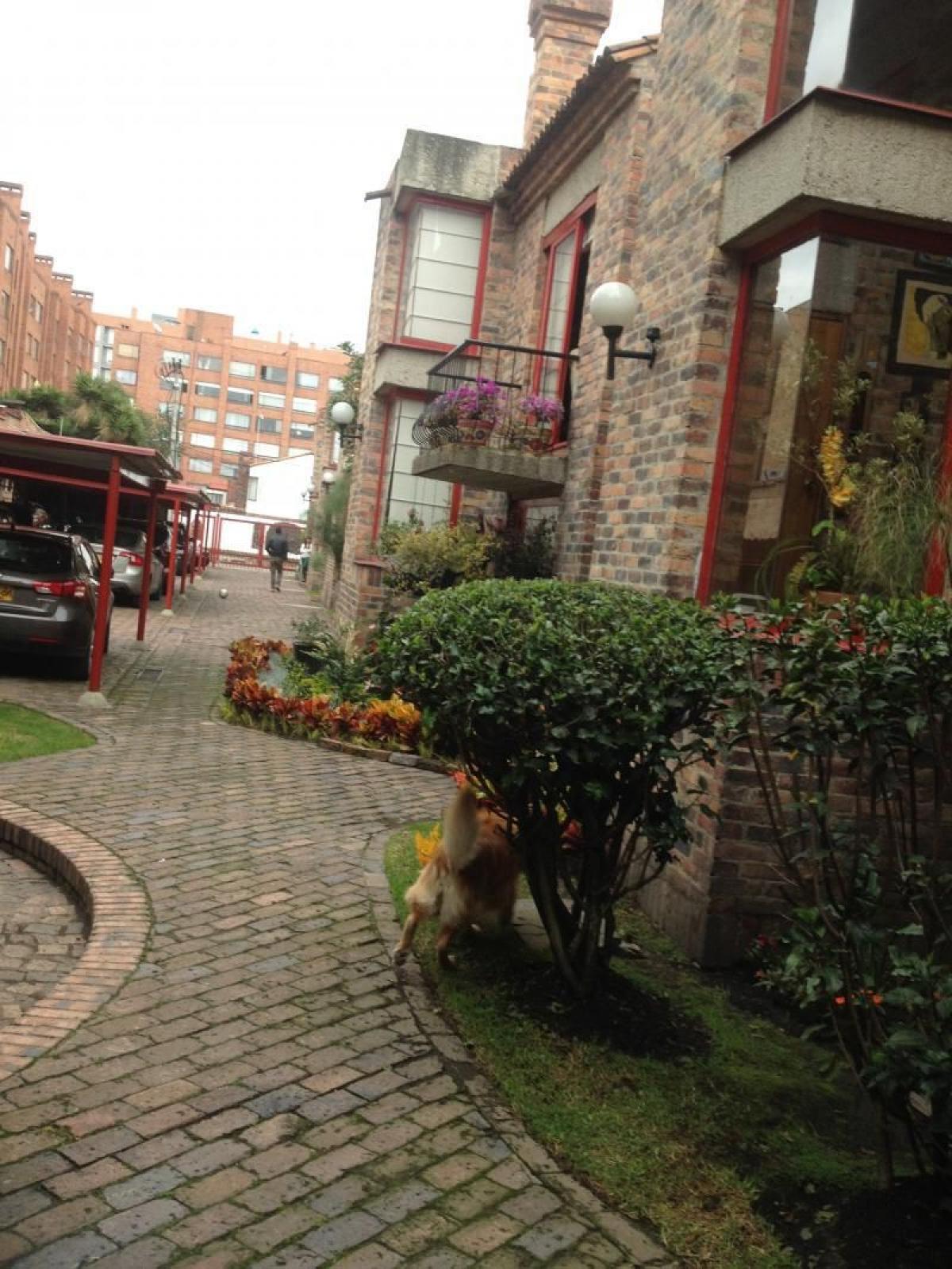 Picture of Home For Sale in Bogota D.C, Bogota Distrito Capital, Colombia