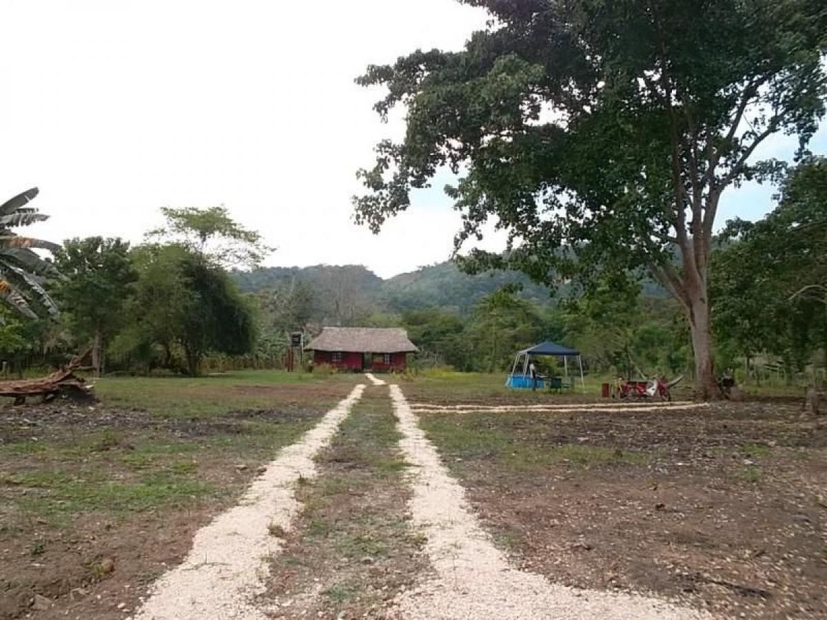 Picture of Home For Sale in Sucre, Sucre, Colombia