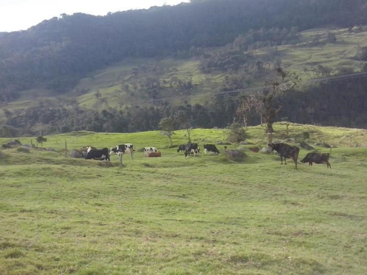 Picture of Home For Sale in Cundinamarca, Cundinamarca, Colombia