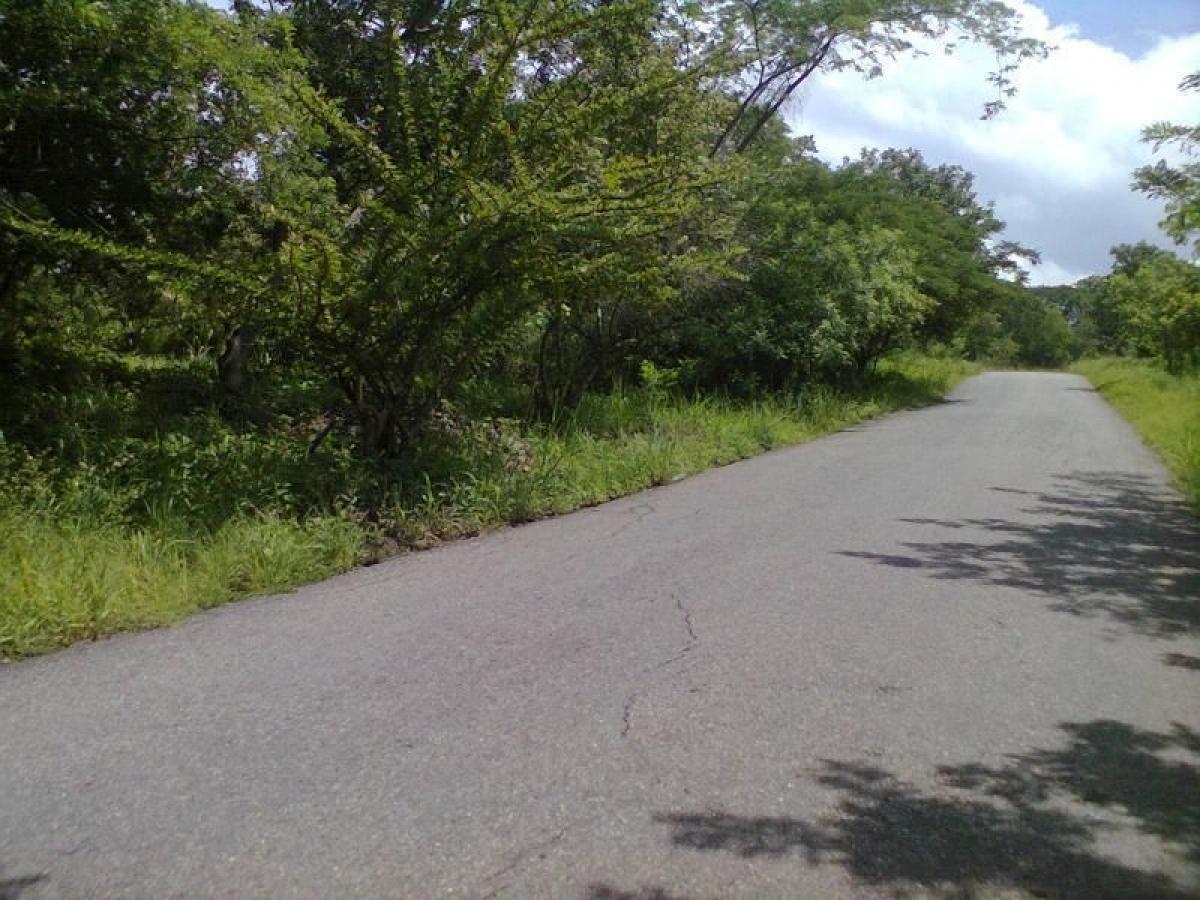 Picture of Residential Land For Sale in Magdalena, Magdalena, Colombia