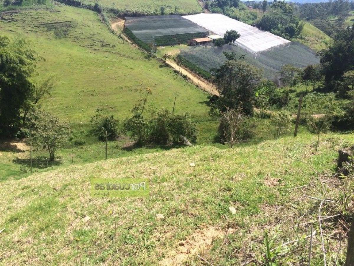 Picture of Residential Land For Sale in Antioquia, Antioquia, Colombia