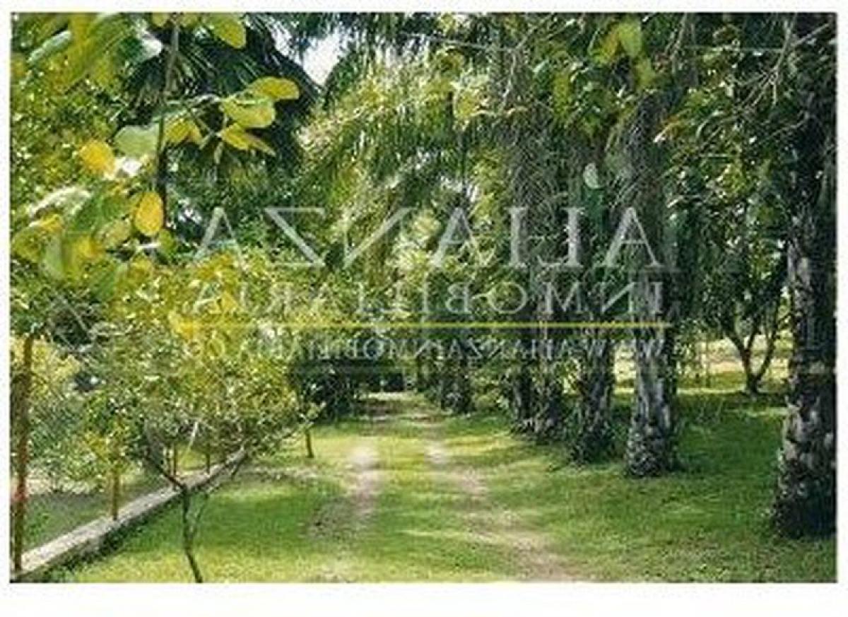 Picture of Home For Sale in Tolima, Tolima, Colombia