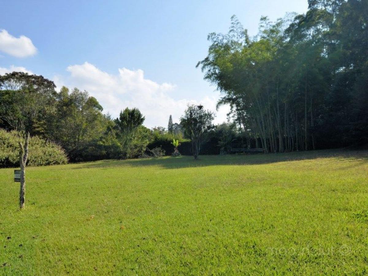 Picture of Residential Land For Sale in Antioquia, Antioquia, Colombia