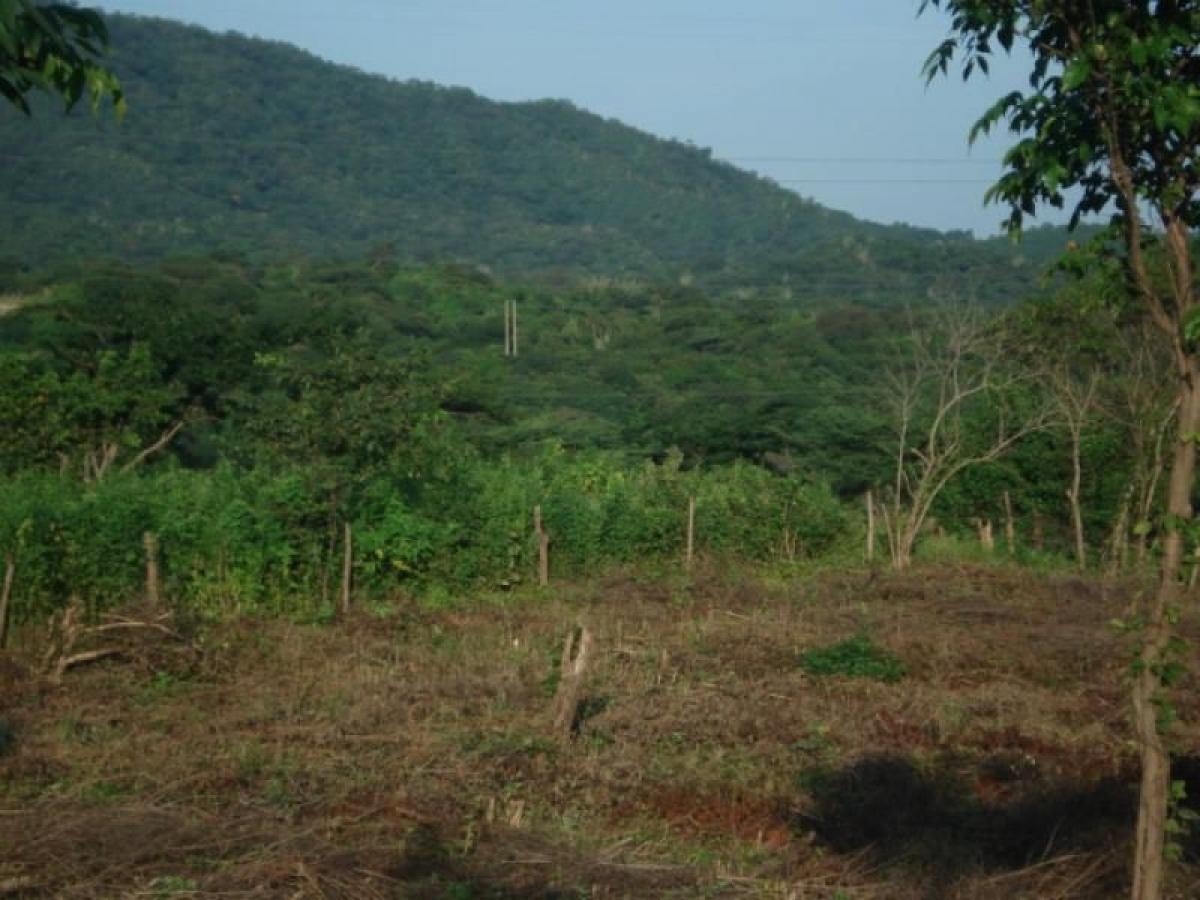 Picture of Home For Sale in Magdalena, Magdalena, Colombia