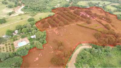 Home For Sale in Tolima, Colombia