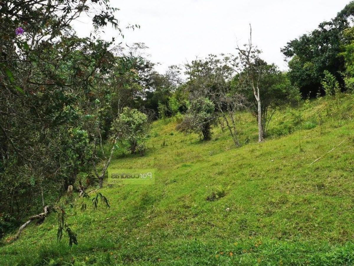 Picture of Residential Land For Sale in Antioquia, Antioquia, Colombia