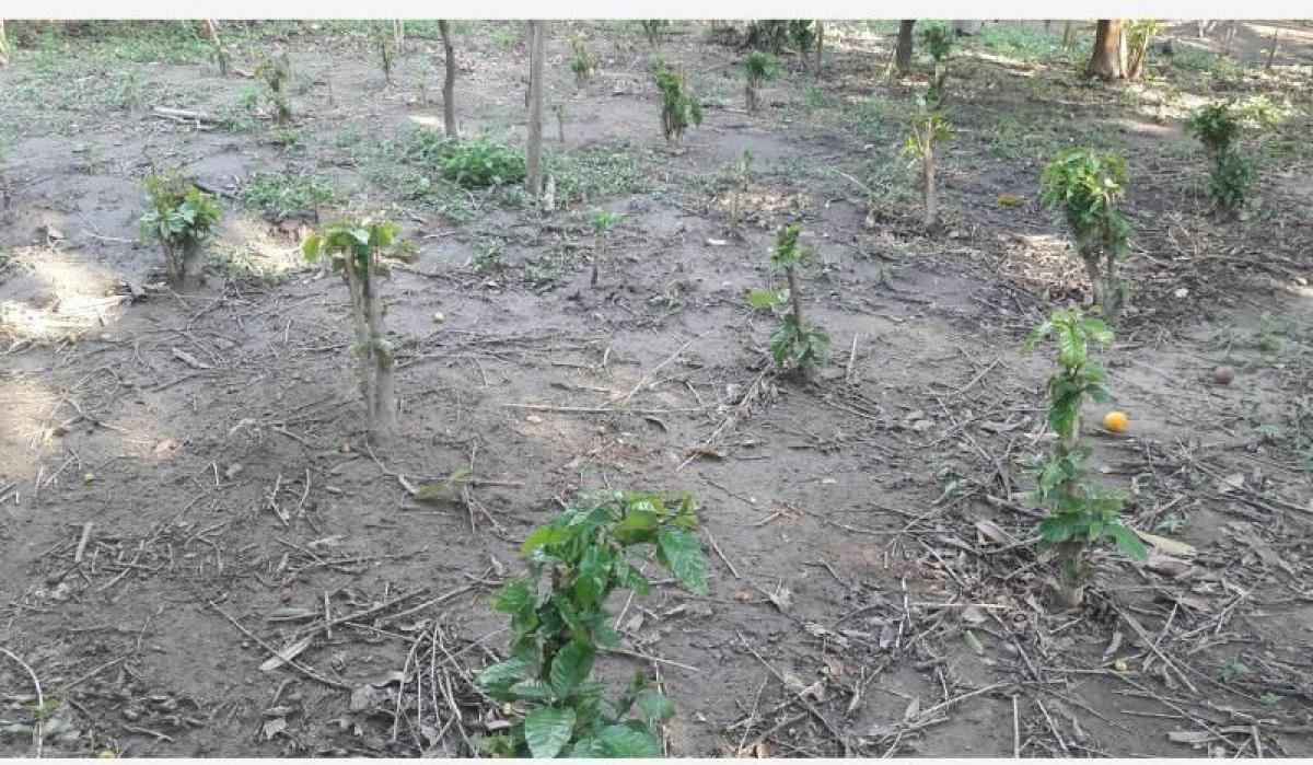 Picture of Home For Sale in Magdalena, Magdalena, Colombia