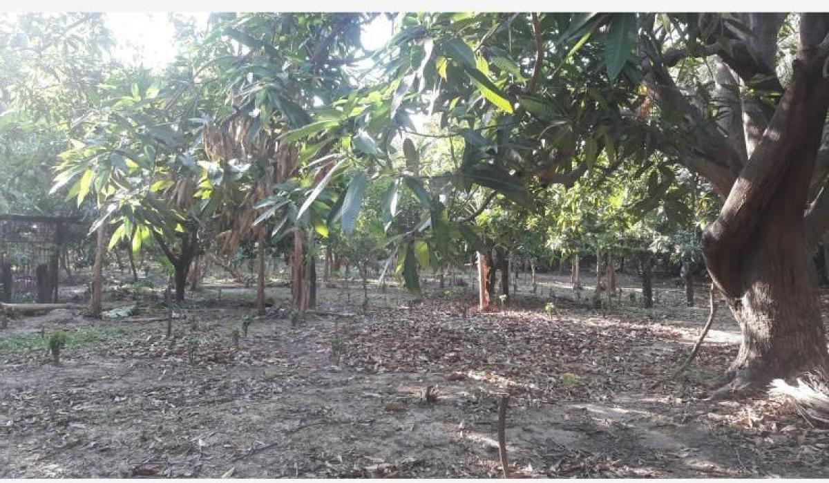 Santa Marta, Magdalena, Magdalena, Colombia Residential Land For Sale