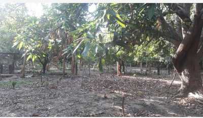 Residential Land For Sale in Magdalena, Colombia