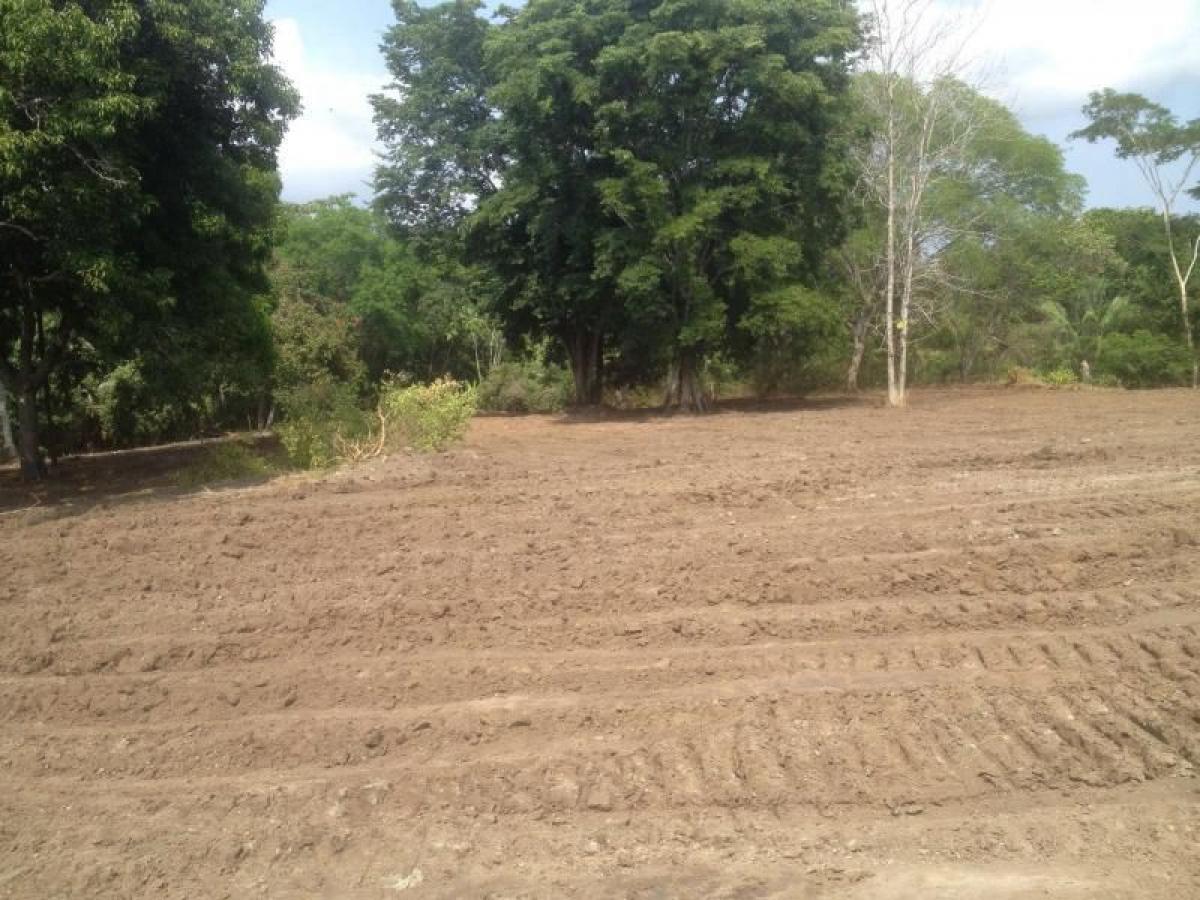 Picture of Home For Sale in Tolima, Tolima, Colombia