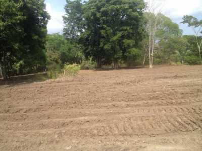 Home For Sale in Tolima, Colombia
