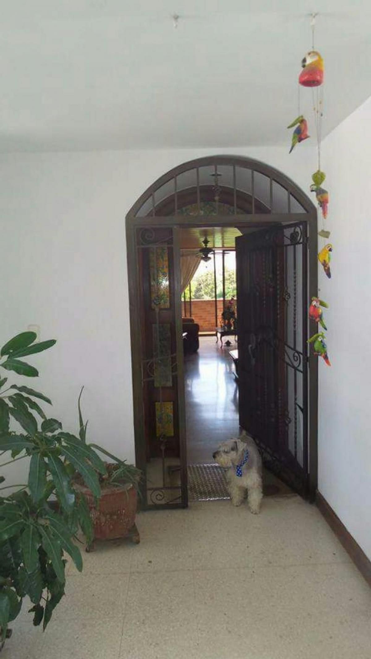 Picture of Home For Sale in Norte De Santander, Santander, Colombia