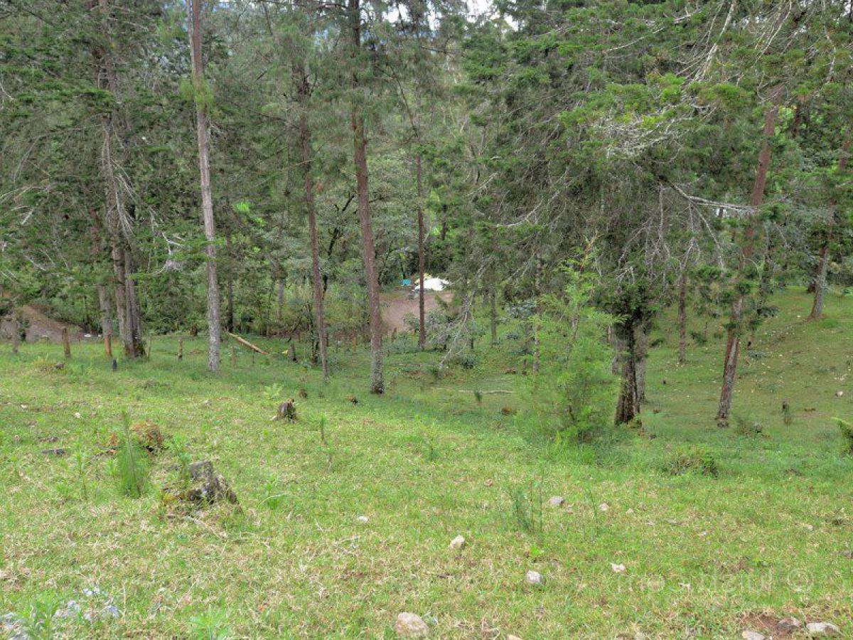 Picture of Residential Land For Sale in Antioquia, Antioquia, Colombia