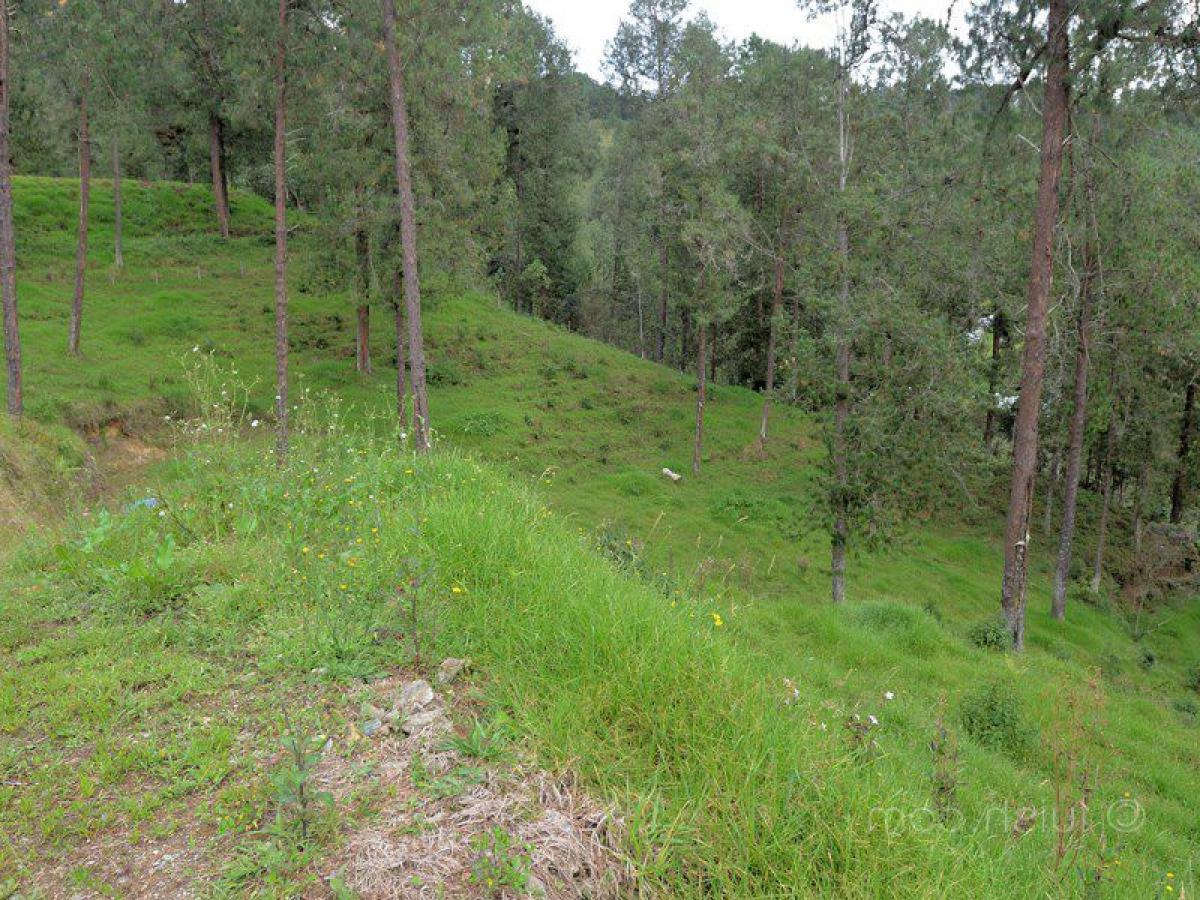 Picture of Residential Land For Sale in Antioquia, Antioquia, Colombia
