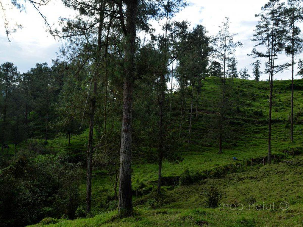 Picture of Residential Land For Sale in Antioquia, Antioquia, Colombia