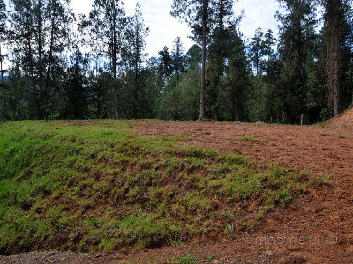Picture of Residential Land For Sale in Antioquia, Antioquia, Colombia