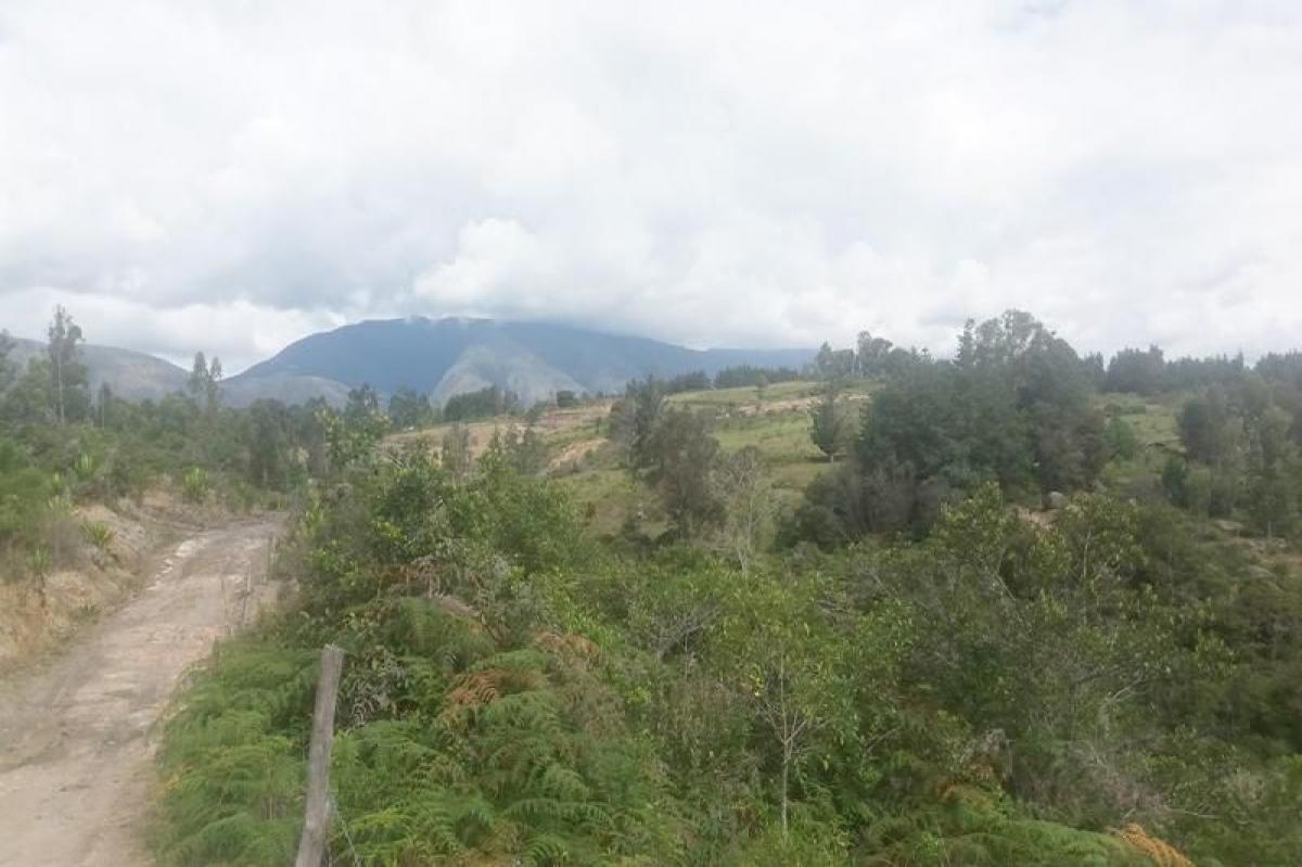 Picture of Home For Sale in Boyaca, Boyaca, Colombia