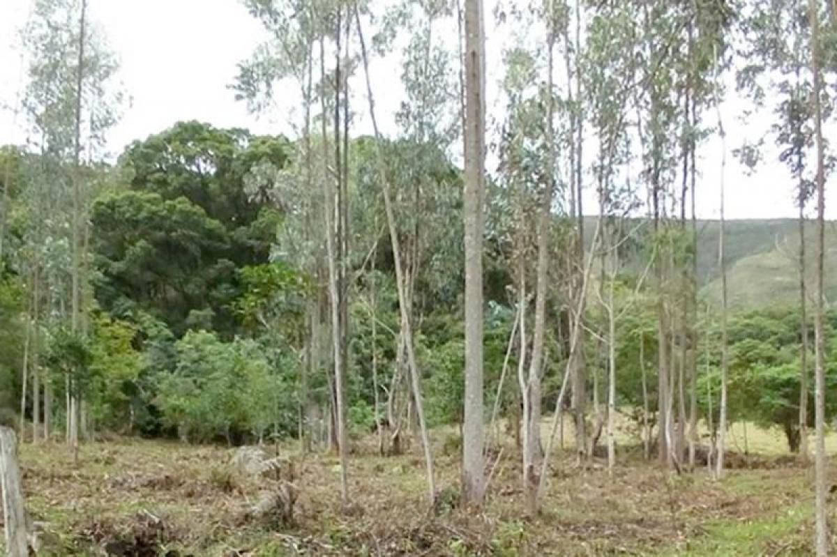 Picture of Home For Sale in Boyaca, Boyaca, Colombia