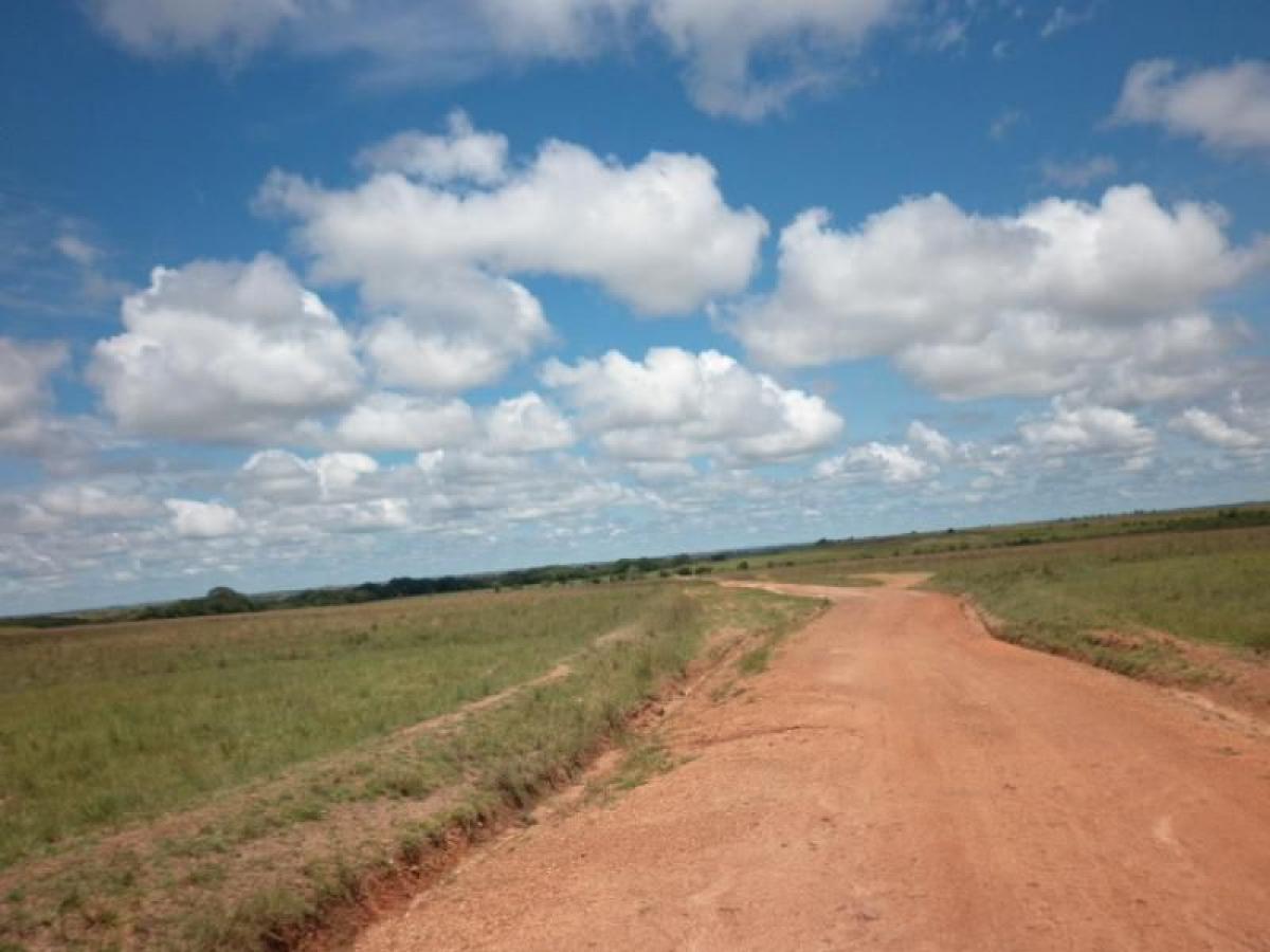 Picture of Home For Sale in Meta, Meta, Colombia