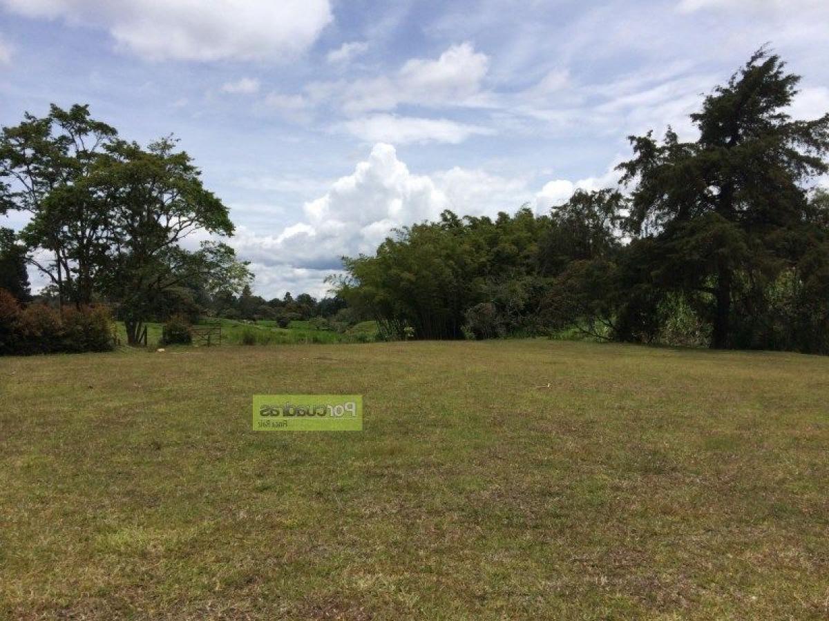 Picture of Residential Land For Sale in Antioquia, Antioquia, Colombia