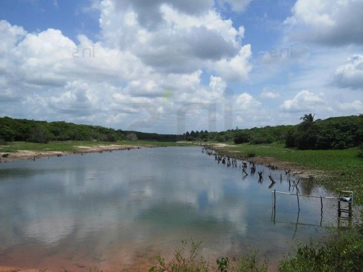 Picture of Farm For Sale in Ceara, Ceara, Brazil