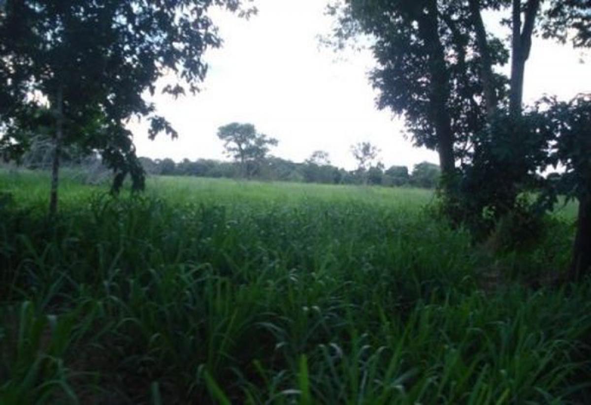 Picture of Home For Sale in Goias, Goias, Brazil