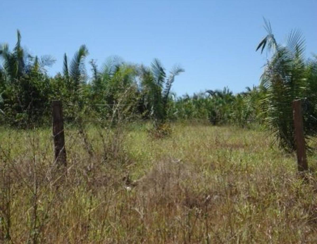 Picture of Home For Sale in Para, Para, Brazil